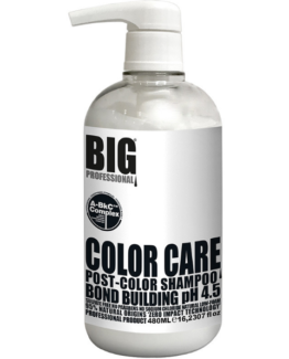 shampoo-480ml-bigprofessional